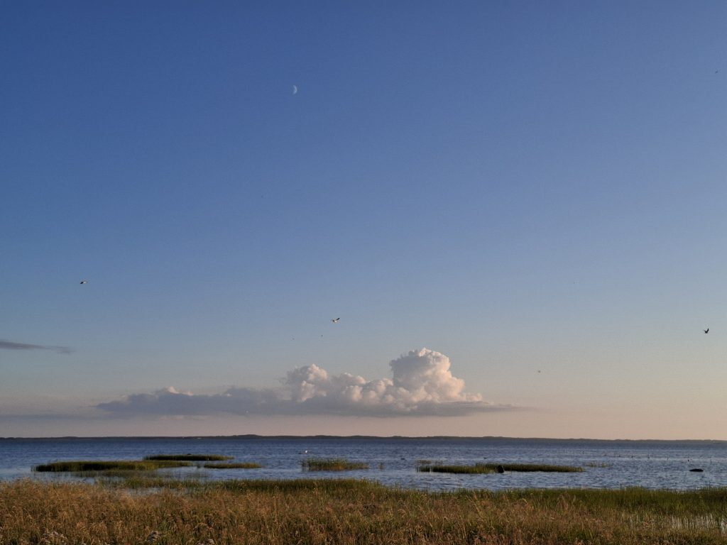 Coastal road leading to the rocky shoreline near Metsamarja