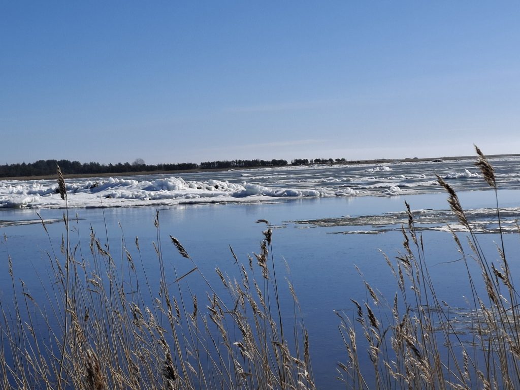 Winter sea near Metsamarja